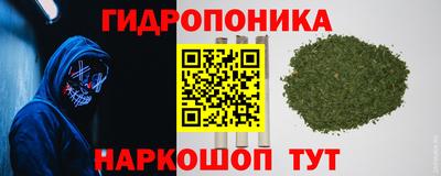 ГАЛЛЮЦИНОГЕННЫЕ ГРИБЫ Волжский