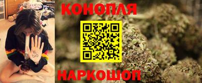стаф Волгодонск