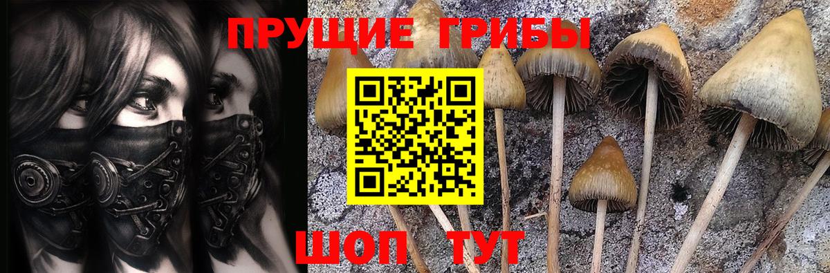 наркошоп  Вход с VPN  Красноперекопск  Галлюциногенные грибы Cubensis 