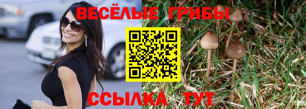 Псилоцибиновые грибы Magic Shrooms Красноперекопск